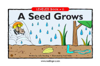 Image of Leveled book g : a seed grows